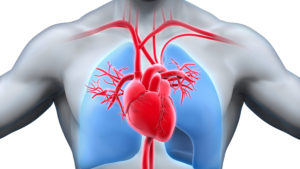Read more about the article Cardiovascular Advancements